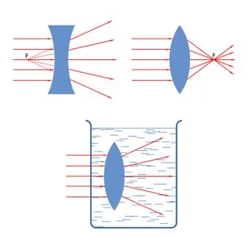 Throw in a collecting rays diverging lens Stock Illustration