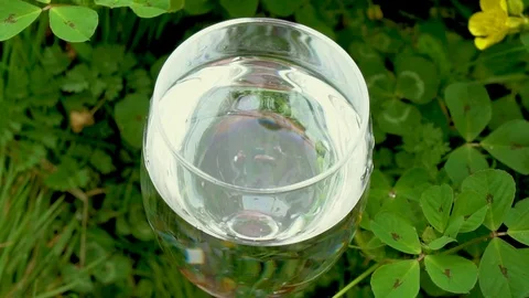 Throw flowers into a cup of water Video stock 106000529
