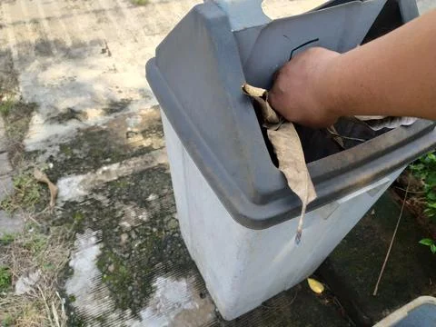 Throw leaf waste into the trash Stock Photos