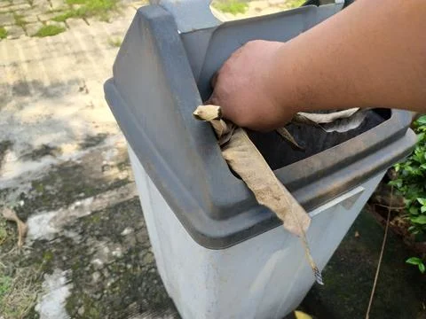 Throw leaf waste into the trash Stock Photos