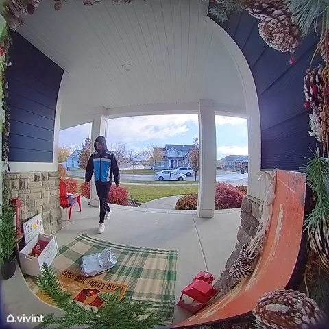 Throw Package, Get Snack, Fall Down, Vineyard, Utah, USA - 27 Nov 2024 Vídeo Stock 293850713