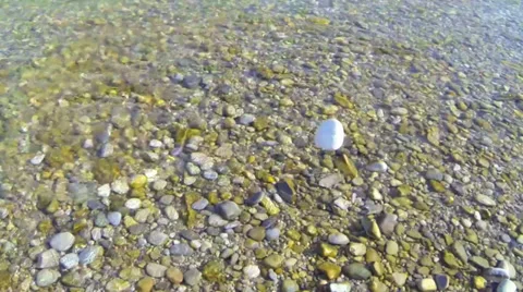 Throw stones Stock Footage 32755614