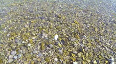 Throw stones Stock Footage 32756688