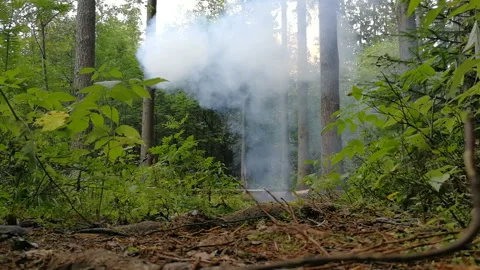 Throw a training grenade in the thicket. Explosion with fire and smoke. Stock Footage 138289476