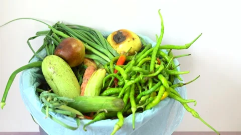 Throwing Away Garbage In Public Trash Can, Video Stock Footage 145698944