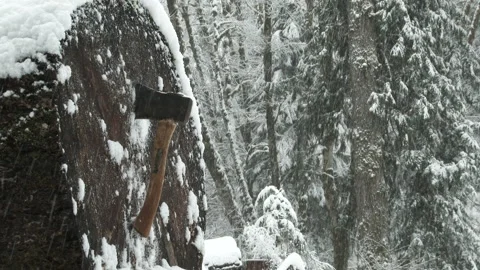 Throwing Axe Hitting Wood Target In Snowy Forest Vídeo Stock 149534142