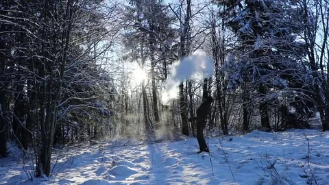 Throwing boiling water in freezing cold Stock Footage 71273288