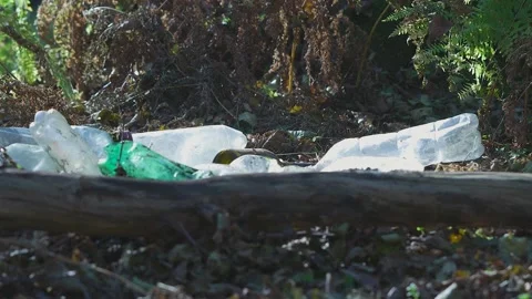 Throwing butles in forest Video stock 195298786