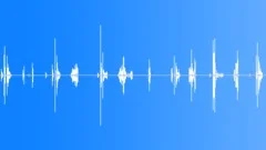 Throwing coin into glass piggybankSound Effect