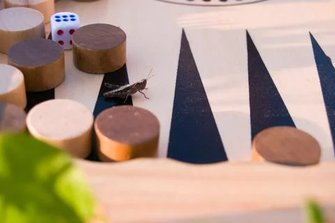 Throwing dice in backgammon board game close up, selective focus. Foreground  Stock Photos