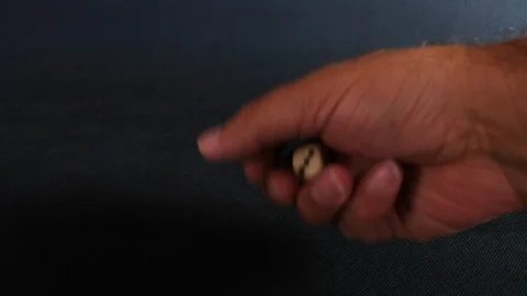 Throwing the dice Stock Footage 115215500