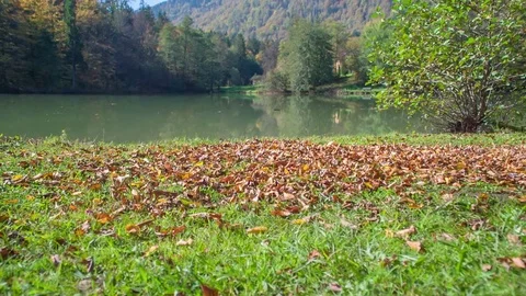 Throwing dirt from the bucket on the ground Video stock 83776489