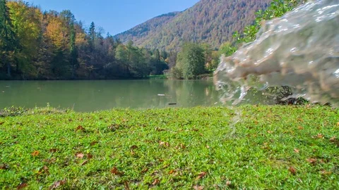 Throwing dirty water on the grass on the river bank Stock Footage 83776081