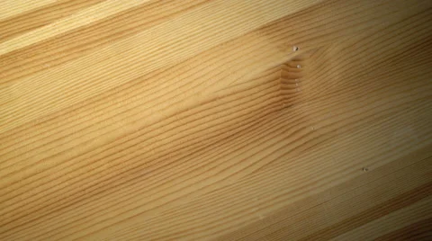 Throwing dollars on table Stock Footage 61439587