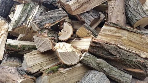 Throwing firewood on a pile. Stack with firewood. Stock Photos