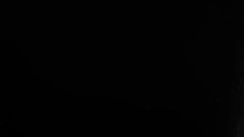 Throwing flour on a black background. White dust falling effect. Stock Footage 303140338