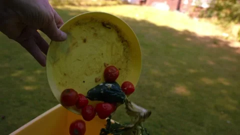 Throwing food scraps waste into compost bin Stock Footage 346771850