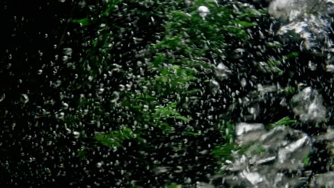 Of throwing greens and dill into boiling hot water Stockbeeldmateriaal 228653892