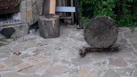 Throwing knife into a tree stump Vídeos de archivo 113742903