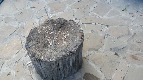 Throwing a knife into a tree stump Stock Footage 113742905