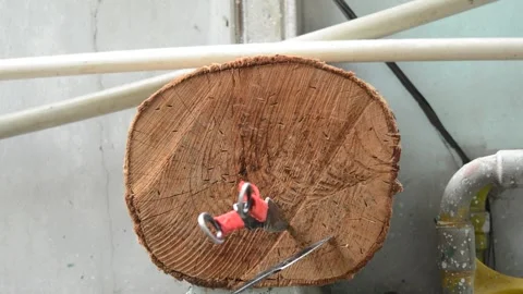 Throwing kunai to the log Stock Footage 253755327