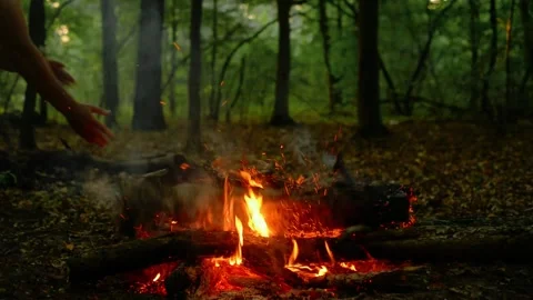 Throwing Large Log onto Campfire with Sparks Stock Footage 342504613