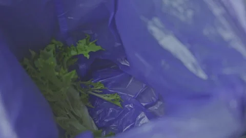 Throwing lettuce leaves into trash bin with trash bag Stock Footage 251996594