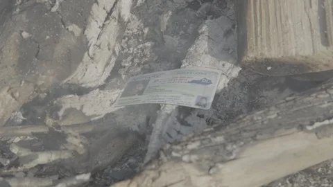 Throwing a license into a fire, burning drivers license Stock Footage 91479492
