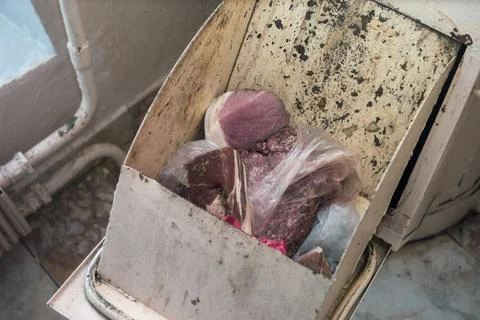 Throwing meat away Photos