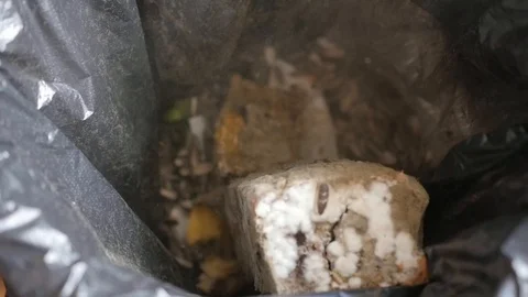 Throwing moldy bread in the trash can, slow motion Stock Footage 115832332