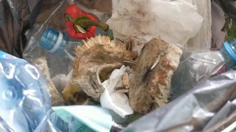 Throwing moldy bread in the trash can, slow motion Stock-Footage 115832384