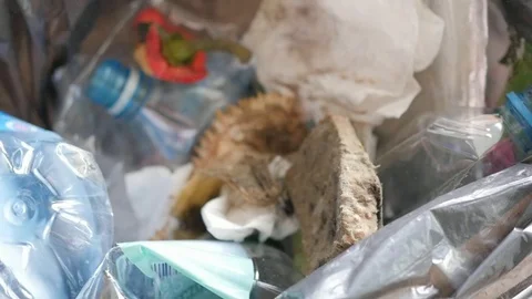 Throwing moldy bread in the trash can, slow motion Video stock 115832389