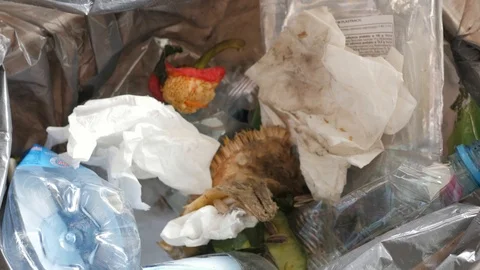 Throwing moldy bread in the trash can Stock Footage 115832930