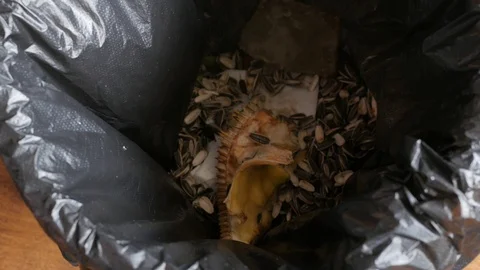 Throwing moldy bread in the trash can Stock Footage 115833529