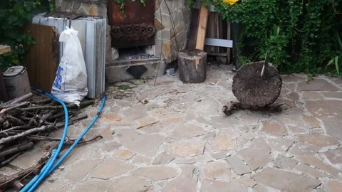 Throwing an old hunting axe into a tree stump Vídeos de archivo 113742907