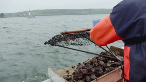Throwing out the dredge from the boat 스톡 동영상 171296185