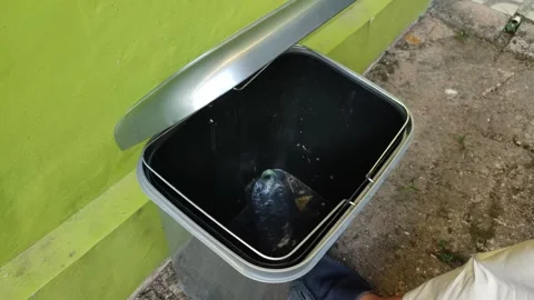 Throwing plastic bottle into the gray trash can Stock Footage 322903515