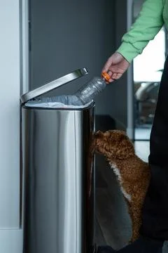 Throwing a plastic bottle into a large metal trash can. Sorting garbage at home. Stock-Fotos