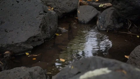 Throwing A Rock Into Water Stock Footage 104824722