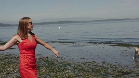 Throwing rocks for dog Stock Footage 40273526