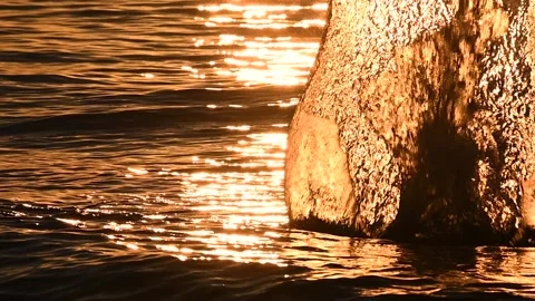 Throwing rocks in water. Close up view of ocean waves in sunset Stock Footage 138022432