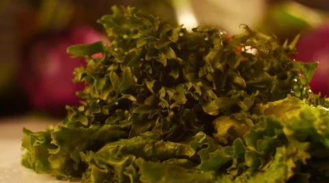 Throwing Romaine Lettus Stock Footage 60817960