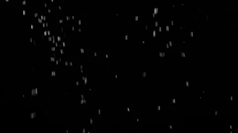 Throwing snow on a black background. The effect of white snow. Stock Footage 303140472