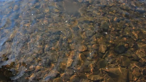 Throwing a stone into the river. Small forest river. Splashing water Stock Footage 142560634