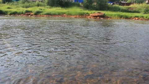 Throwing a stone into the river. Small forest river. Splashing water Stock Footage 142560637