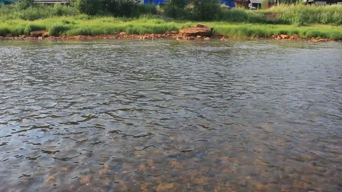 Throwing a stone into the river. Small forest river. Splashing water Stock Footage 142560639