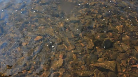Throwing a stone into the river. Small forest river. Splashing water Stock Footage 142560640