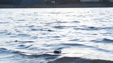 Throwing stone into water in river Stock Footage 85768813