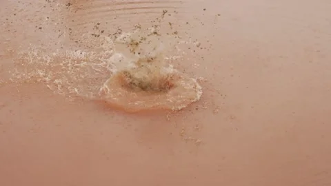 Throwing stone in water stream Video stock 156991202