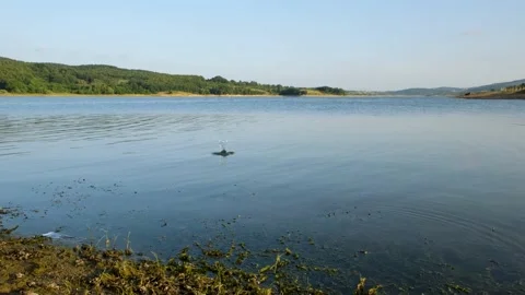 Throwing stones into lake Stock Footage 208176402